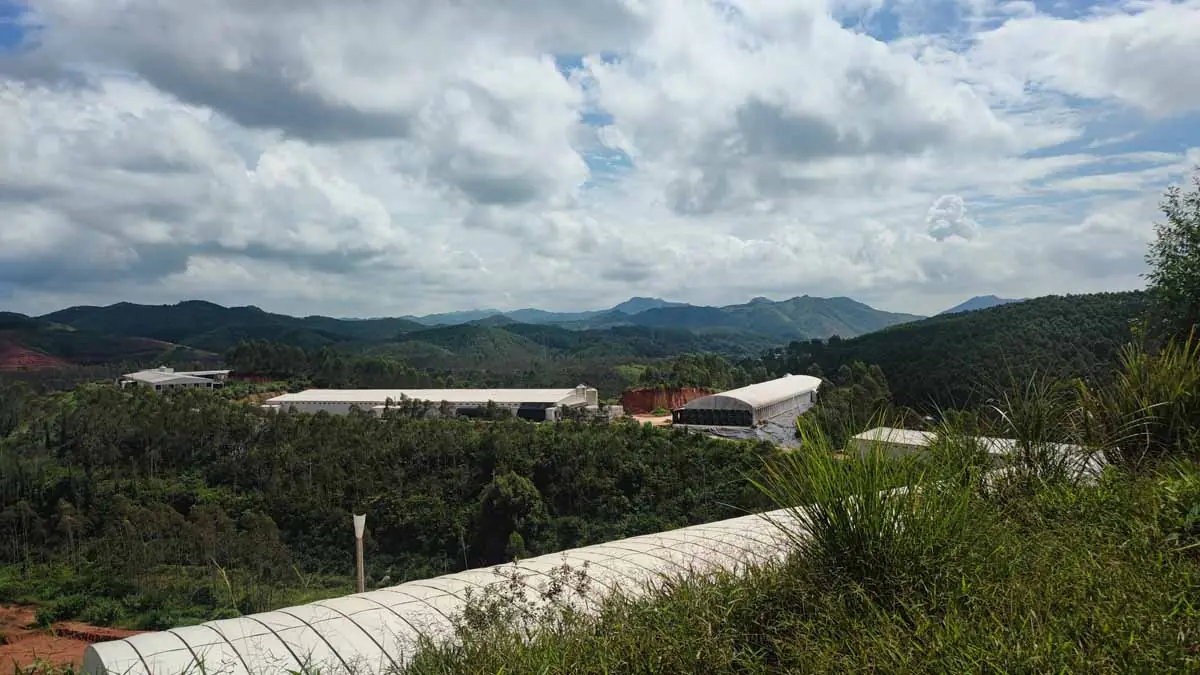 Wens Group poultry farm overview